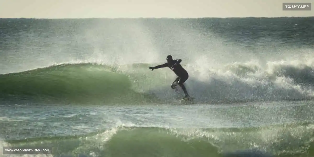 为什么选择我们